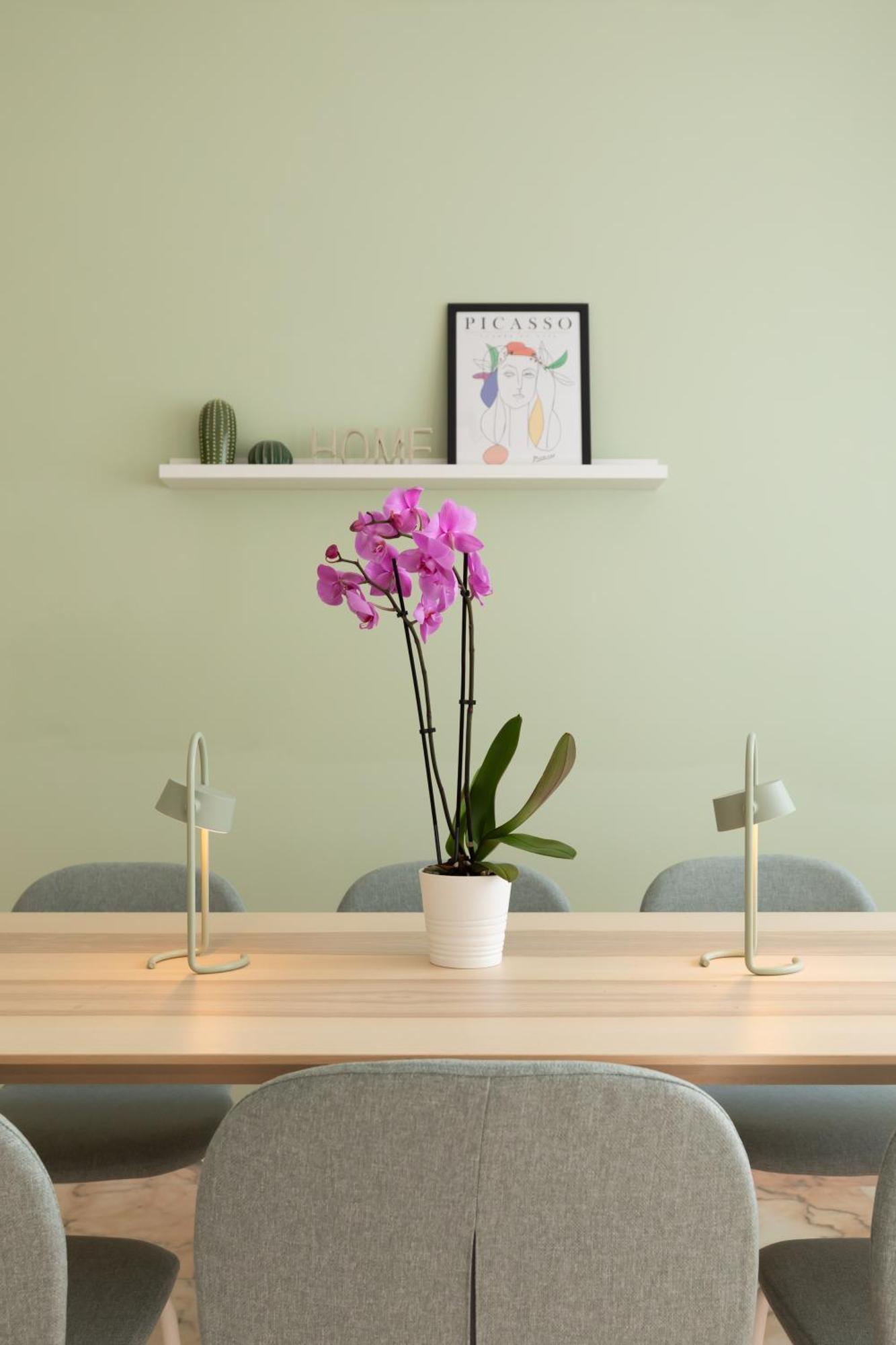 Domiziano Boutique Apartment Rome Buitenkant foto